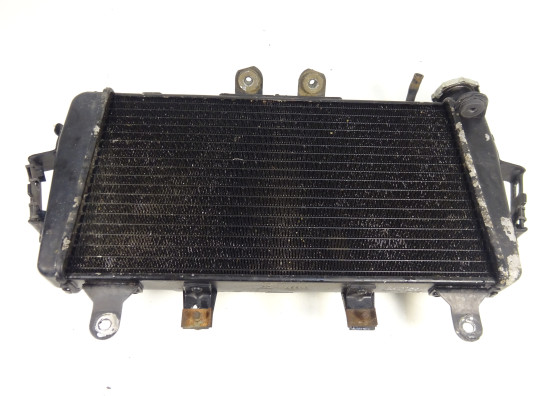 Radiateur Triumph Tiger 1050