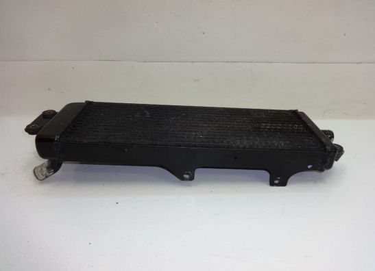 Kuhler Suzuki VX 800