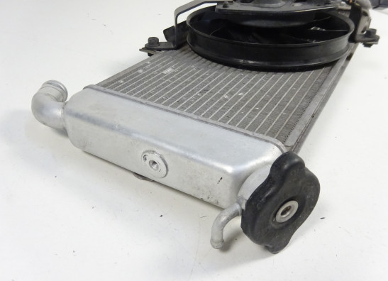 Kuhler Kawasaki ER 6