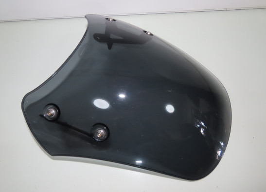Windscherm Moto Guzzi V9