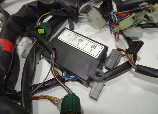 Wire Harness Aprilia Falco