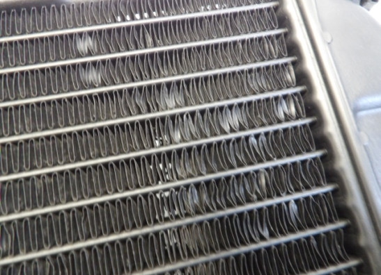 Radiateur Yamaha TDM