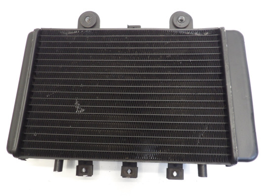 Radiateur Triumph Thunderbird 900
