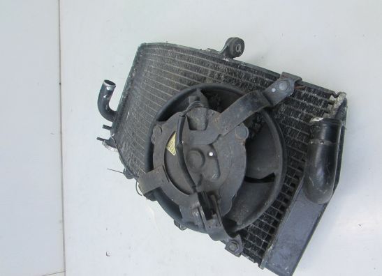 Radiator Honda CBR Fireblade