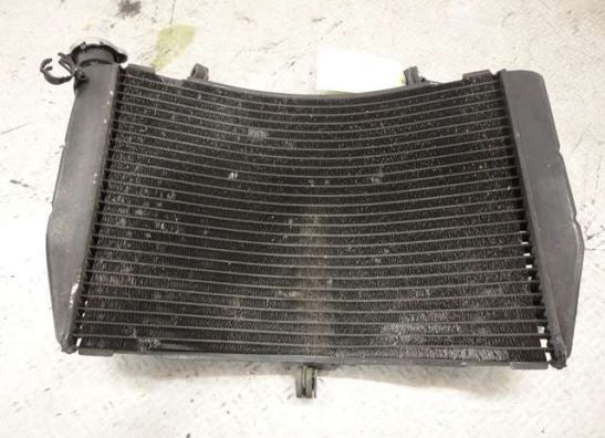 Kuhler Yamaha YZF R1