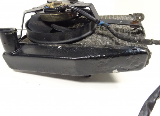 Radiator Honda CBR 600 RR