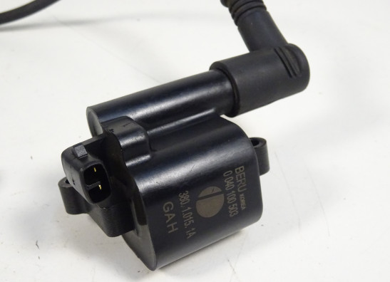 Bobine Ducati monster 1100