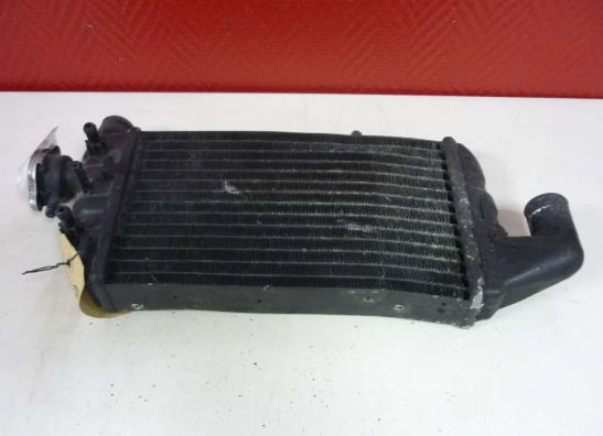 Radiator BMW K 1200