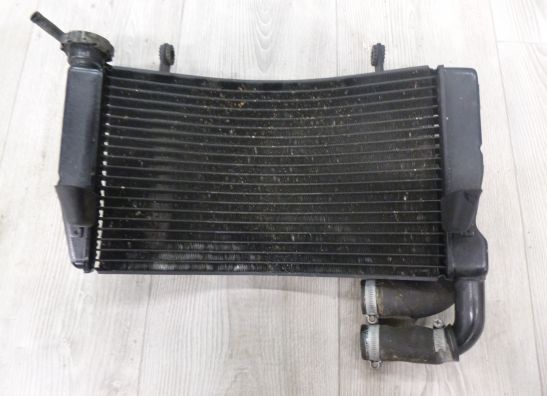 Radiator Ducati 749  999