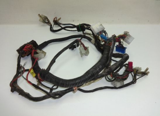 Wire Harness Yamaha FZ 750