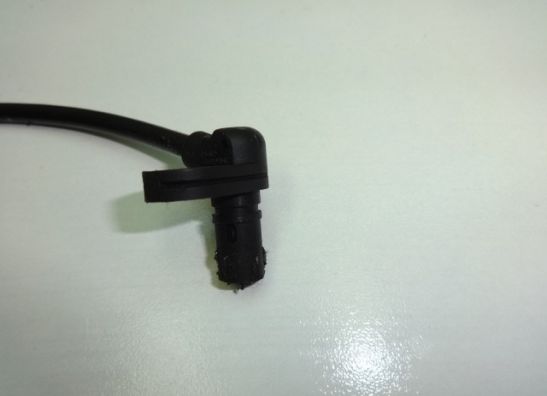 Remleiding voor BMW F 800 S - ST