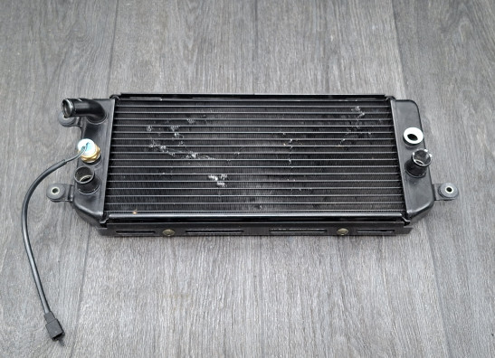 Radiator Suzuki VZ 800 marauder