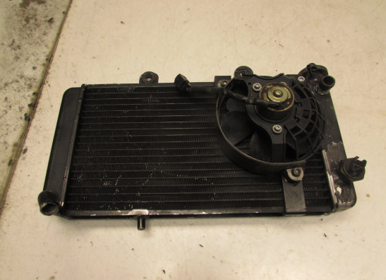 Radiateur Aprilia Pegaso 1992-2005