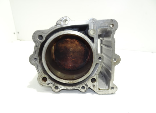 Cilinderblok BMW F 650 GS