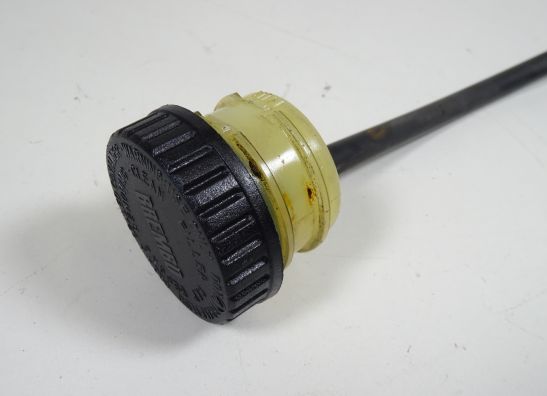 Rempomp achter BMW R 1150 GS