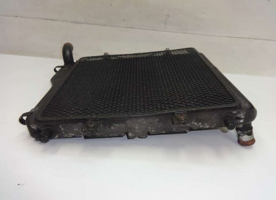 Kuhler Kawasaki GTR 1000