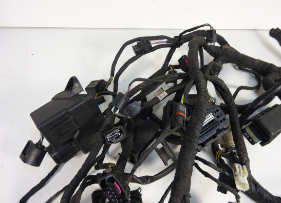 Wire Harness BMW R 1200 RT