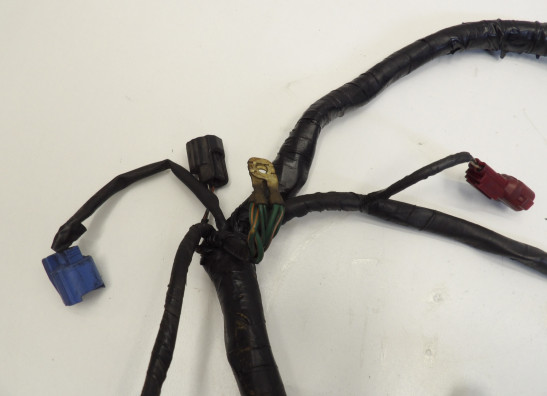 Kabelboom Honda CBF 1000