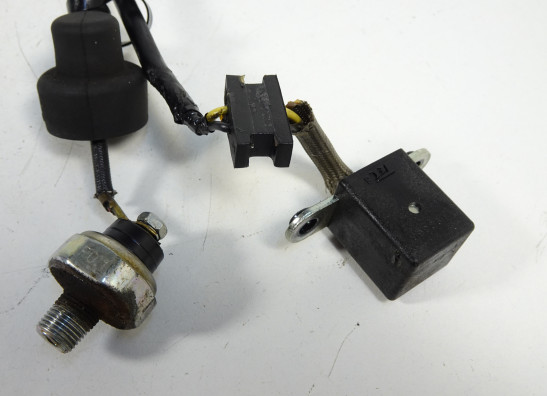 Pulsgever Kawasaki ER 6