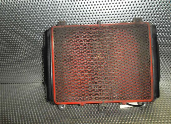 Kuhler Kawasaki GPX 600