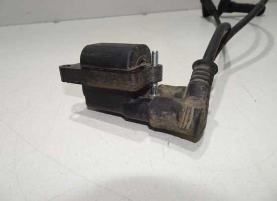 Bobine Ducati Multistrada 1100