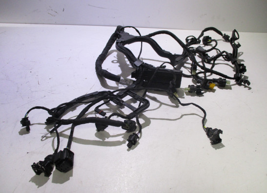 Kabelboom BMW R 1250 RS