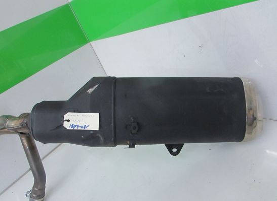 Muffler Kawasaki Ninja 300