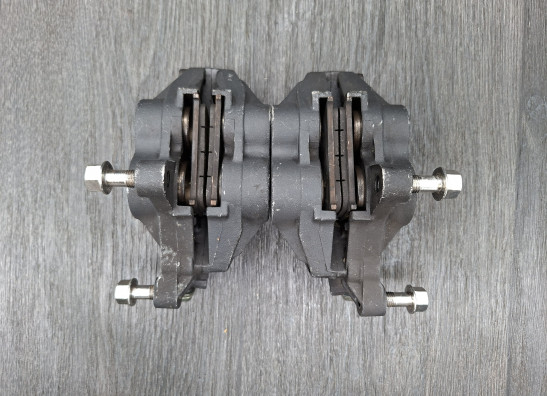 Remklauwen Triumph Daytona 600