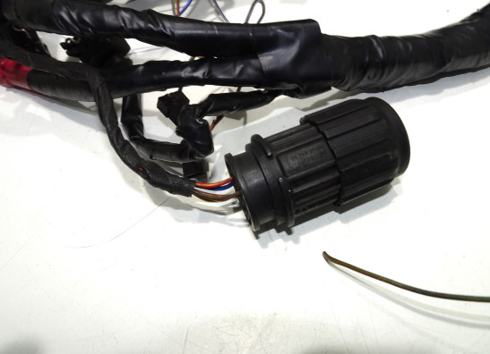 Kabelboom BMW R 1100 S