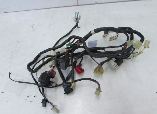 Wire Harness Kawasaki GPX 600