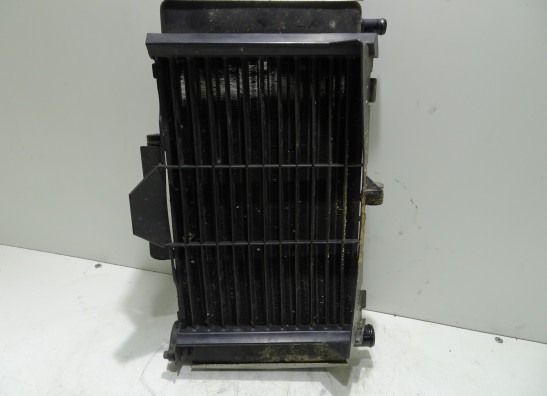 Radiateur Yamaha FZ6