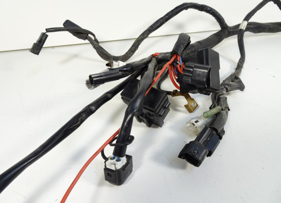 Kabelbaum Yamaha Tracer 700