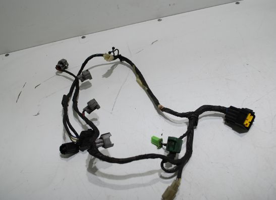 Wire Harness Yamaha GTS 1000