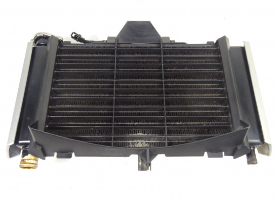Radiator Yamaha FZ6