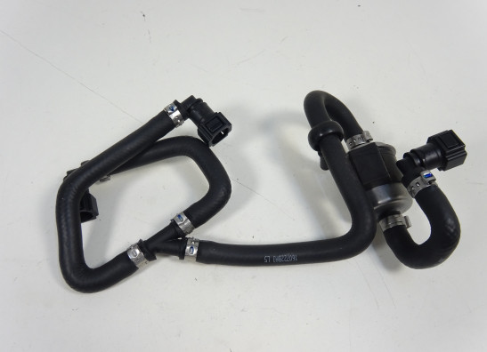 Brandstofslang Benelli 302 R