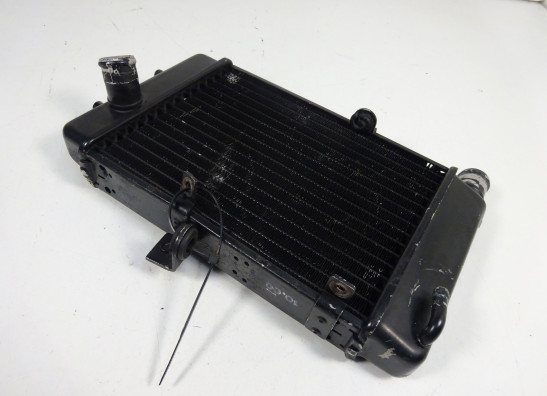 Radiator Aprilia Falco