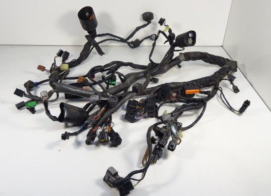 Wire Harness Kawasaki GTR 1400