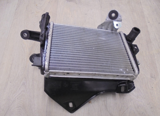 Radiateur BMW R 1250 GS