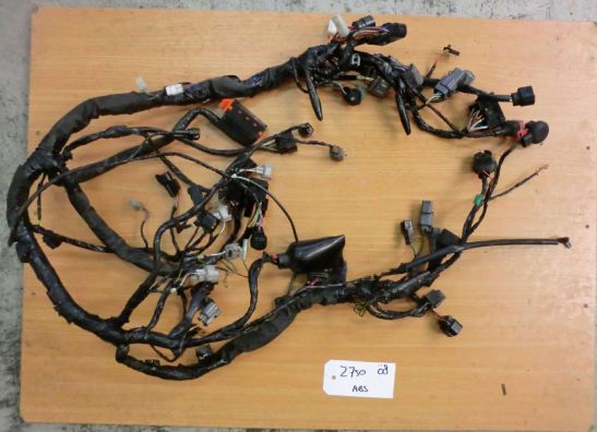 Wire Harness Kawasaki Z 750