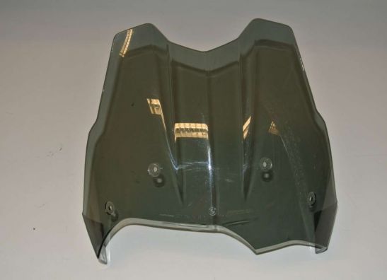 Windscherm BMW F 650 GS