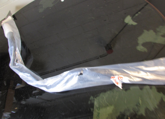 Steer Overig Onbekend Unknown