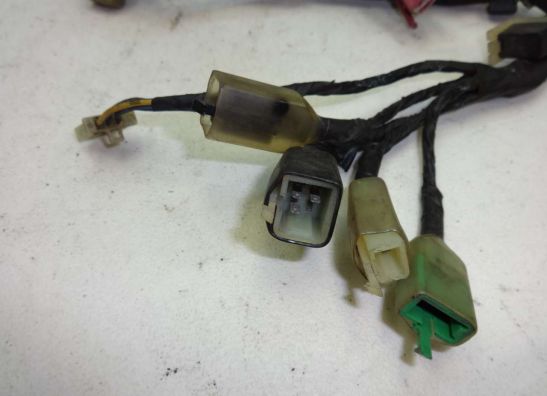 Kabelboom Honda PC 800