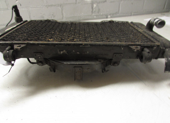 Radiator Honda CBR 1000 F