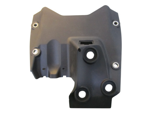 Overig Ducati Panigale V4 R