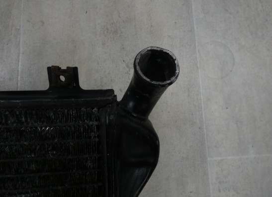 Kuhler Kawasaki ZXR 750