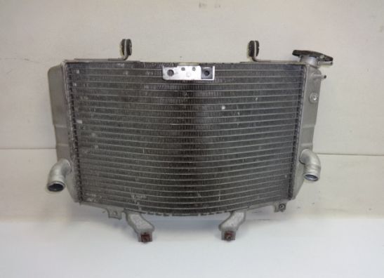 Radiator Suzuki GSX R 1000