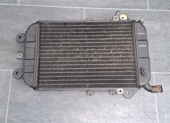 Radiateur Kawasaki VN 700  750