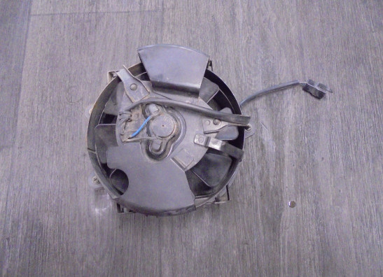 Fan Suzuki VZ 800 marauder