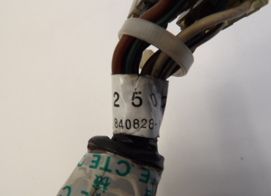 Sicherungkasten Triumph Trophy 900