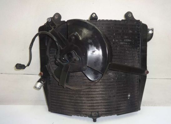 Radiateur Suzuki RF 600